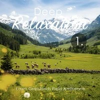 Deep Relaxation: Lawn Grasslands Field Ambience