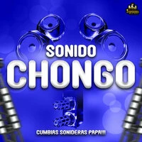 Cumbias Sonideras Papa!!!