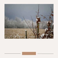 Classic Ambiance for Smooth Downtime