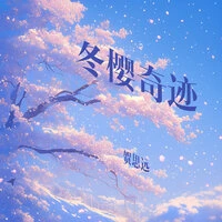 冬樱奇迹