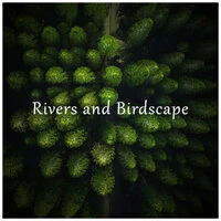 Rivers and Birdscape
