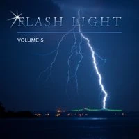 Flash Light, Vol. 5