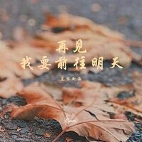 再见，我要前往明天