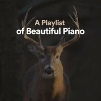 A Playlist of Beautiful Piano