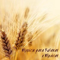 Musica para Relaxar e Meditar - Mùsica Doce Zen de Fondo para Pensamento Positivo e Meditação para Iniciantes