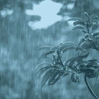 Music for Relaxation - Bgm for Clear Meditations