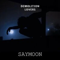 Demolition Lovers