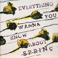 Everything You Wanna Know About Spring