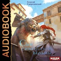 Георгий Смородинский. «Храм Элементов. Книга 1. Сын синеглазой ведьмы»