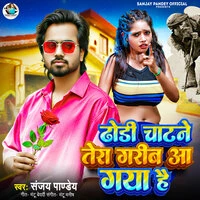 Dhodi Chatne Tera Garib Aa Gaya Hai