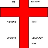 My Standup Fighting Role