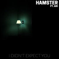 I Didn't Expect You