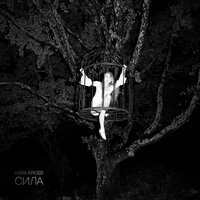 Сила