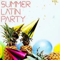 Summer Latin Party Vol. 1