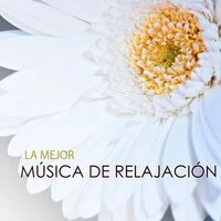 La Mejor Música de Relajación - Sonidos Ambientales de la Naturaleza