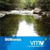 Stillness