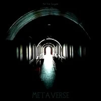Metaverse