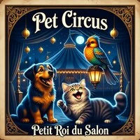 Petit Roi du Salon