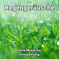 Regengeräusche ohne Musik zur Entspannung