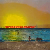 Mycrowave Heaven