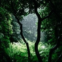 50 Soothing Summer Tracks for Relaxation and Sleep