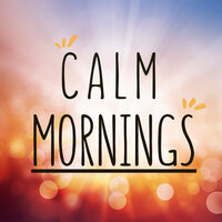 Calm Mornings