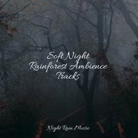 Soft Night Rainforest Ambience Tracks
