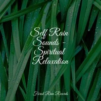 Self Rain Sounds - Spiritual Relaxation