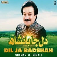 Dil Ja Badshah, Vol. 8