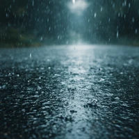 Мягкие звуки для питомца в спокойный вечер