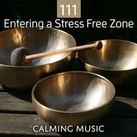 111 Entering a Stress Free Zone: Calming Music Session for Meditation, Relaxation, Reiki, Massage, Spa, Chakra Healing