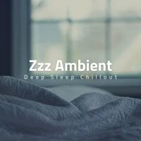 Zzz Ambient Deep Sleep Chillout