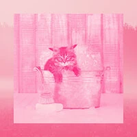 Trio Jazz - Background Music for Comfy Cats