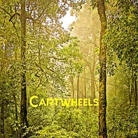 Cartwheels