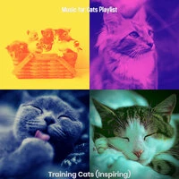 Training Cats (Inspiring)