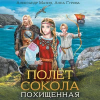 Александр Мазин, Анна Гурова. «Полет сокола. Похищенная»