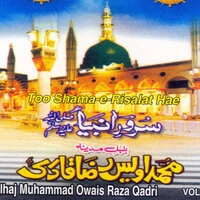 Too Shama-e-Rislat Hae, Vol. 8