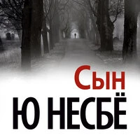 Ю Несбё. «Сын»