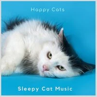 Happy Cats