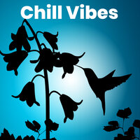 Chill Vibes 2020
