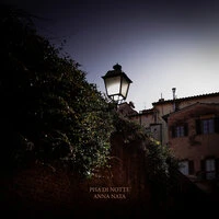 Pisa di notte