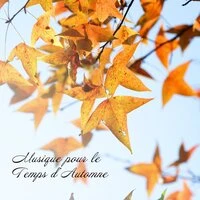 Musique pour le Temps d'Automne. Apaiser l'Âme. Une Ambiance Plus Agréable à la Maison