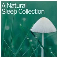 2018 Collection of Rain Sounds for Sleep, Meditation and Yoga