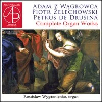 Adam z Wągrowca: Petrus de Drusina