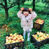 纯真梦想