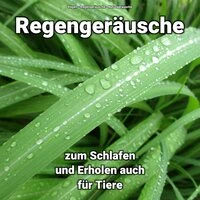 Regengeräusche zum Schlafen und Erholen auch für Tiere
