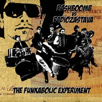 The Funkabolic Experiment (Bashboomb Vs. Radiozastava)
