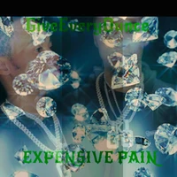 Expensive Pain