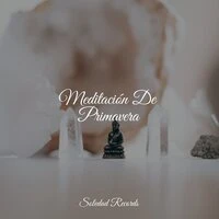 Meditación De Primavera