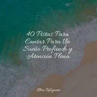 40 Pistas Para Cantar Para Un Sueño Profundo y Atención Plena